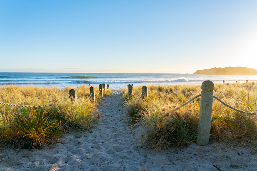 Track between bollards and grassy dunes leading to beach at Mount maunganui Mainbeach New Zealand.