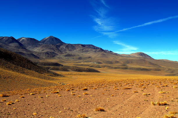 tracks on a lava field with a panorama of volcano sairecabur lonely track with many lanes over a lava field in the high mountains of the andes in chile with a panorama of volcano sairecabur extreme terrain stock pictures, royalty-free photos & images
