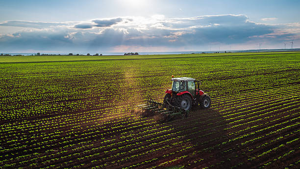 tractor cultivating field at spring - landbouw stockfoto's en -beelden