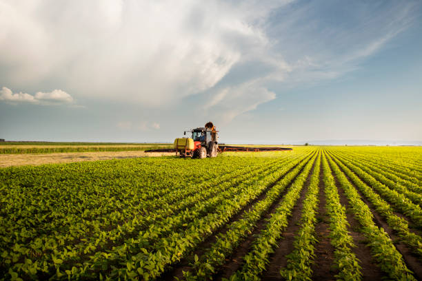 Tractor spraying pesticides on soy field  with sprayer at spring Tractor spraying pesticides on soy field  with sprayer at spring plantation stock pictures, royalty-free photos & images