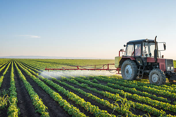 Tractor spraying Tractor spraying soybean field at spring spraying stock pictures, royalty-free photos & images