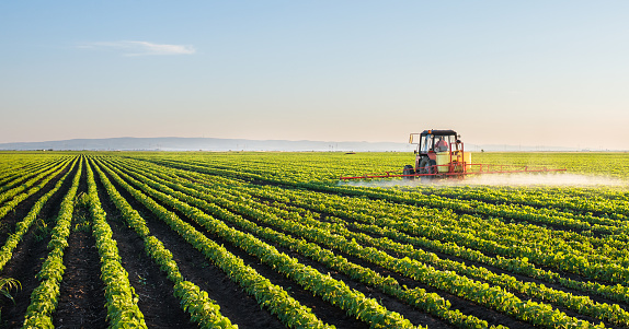 tractor spraying soybean field picture id506164764?b=1&k=20&m=506164764&s=170667a&w=0&h=Jape5dTdB 8HNjQFjc6aJODc XQTqTwxGN4j0 j Icg=