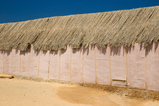 Traditional African wall and palm leafs roof stock photo