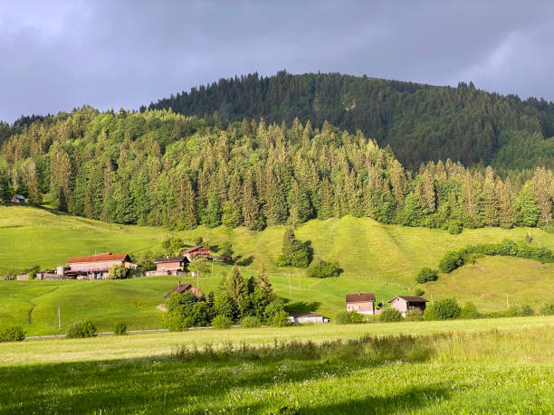 Traditional architecture and farmhouses with the surrounding pastures in the Sihltal valley and by the artifical Lake Sihlsee, Einsiedeln - Canton of Schwyz, Switzerland stock photo