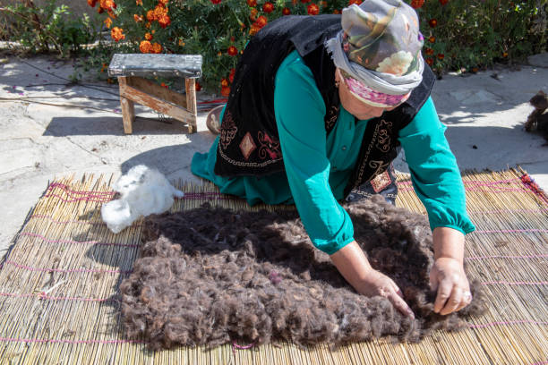 Traditional felt making in Kyrgyzstan Kochkor Village, Kyrgyzstan - September 18, 2018 :  Woman making felt the traditional way in Kochkor Village, Kyrgyzstan. central asia stock pictures, royalty-free photos & images