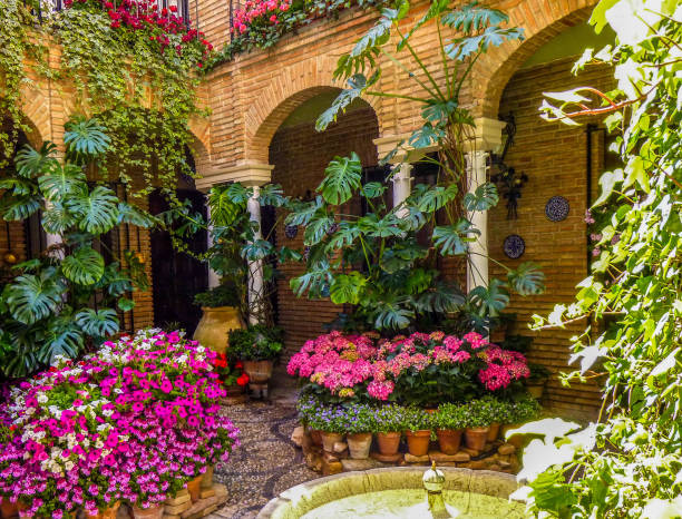 Traditional flower-decorated patio in cordoba, spain, during the Festival de los Patios Cordobeses Traditional flower-decorated patio in cordoba, spain, during the Festival de los Patios Cordobeses courtyard stock pictures, royalty-free photos & images