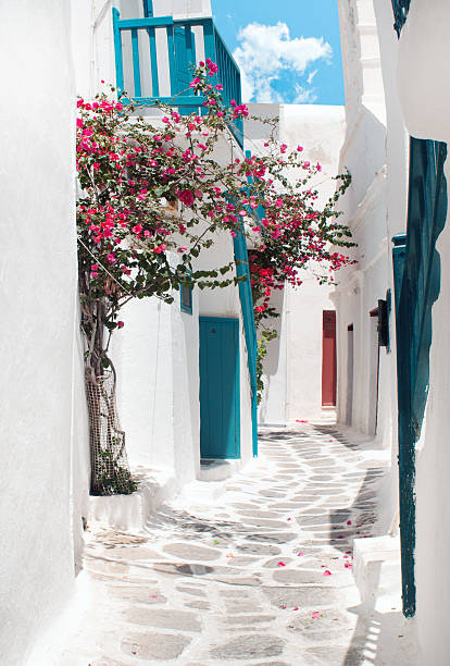 Traditional greek alley on Mykonos island, Greece stock photo