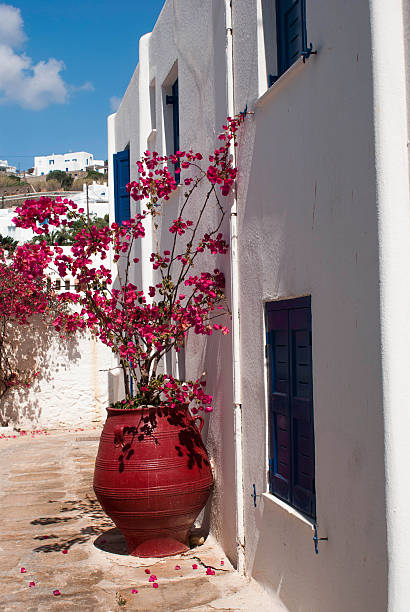 Traditional greek alley on Sifnos island, Greece stock photo