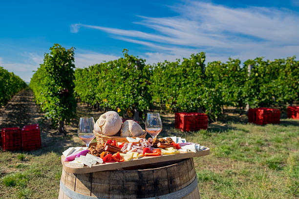 Traditional Romanian food plate with wine and vineyards in the stock photo