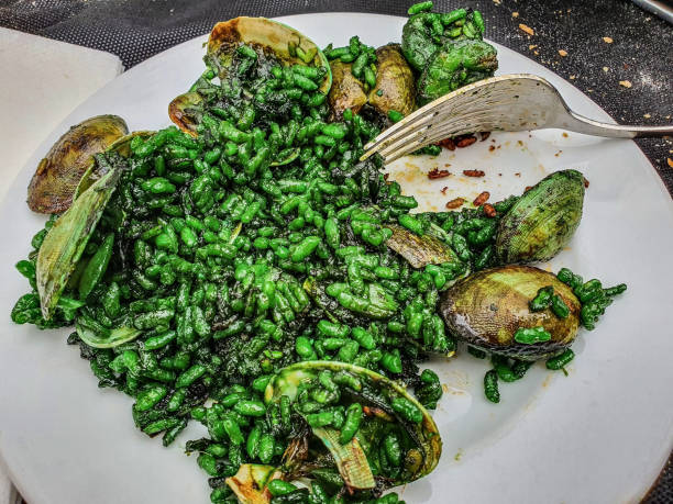 Traditional Spanish seafood paella dish with plankton. stock photo
