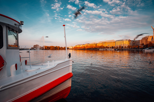 Traditional steamer boat on Alster Lake in foreground. Golden autumn light at sunset. Seagulls circling over water. Hamburg, Germany