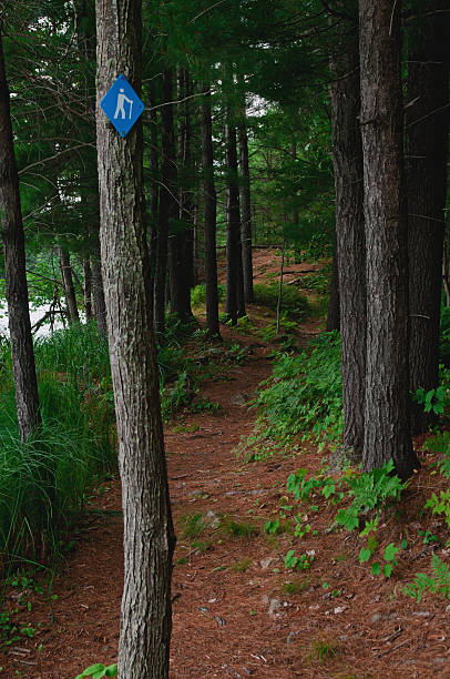 Trail makers sign in the woods. stock photo