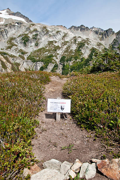 Sign to Advise of Trail Closure North Cascades National Park, Washington, USA - August 22, 2009: A trail sign at Sahale Arm is used to advise hikers of a closure due to environmental damage. jeff goulden environmental conservation stock pictures, royalty-free photos & images