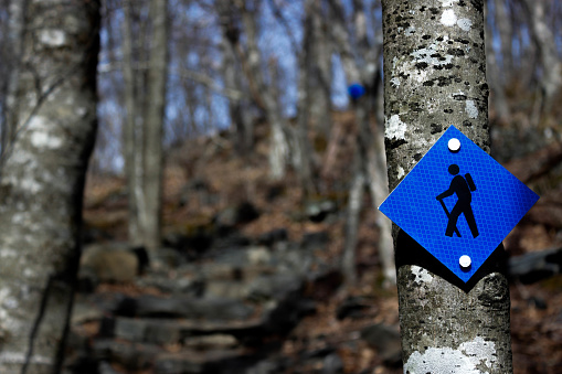 The blue blazes of a trailhead in the mountains of North Carolina