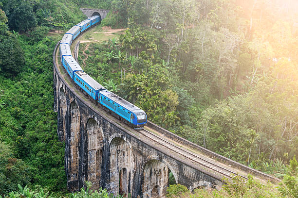Train goes over bridge Blue train goes through jungle, slight motion blur sri lanka stock pictures, royalty-free photos & images