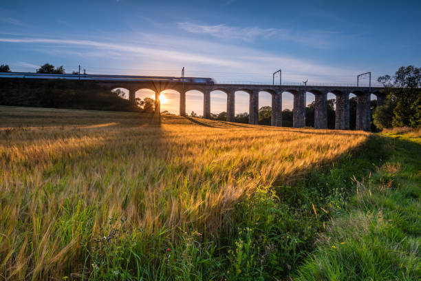 Train on River Aln Viaduct A golden crop of barley below the railway viaduct with motion blurred train at Lesbury, as the River Aln approaches the North Sea at Alnmouth arno river stock pictures, royalty-free photos & images
