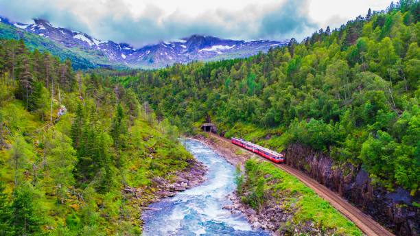 火車奧斯陸-貝根在山中。挪威。 - oslo 個照片及圖片檔