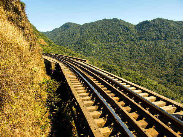 Train rails in southern Brazil stock photo