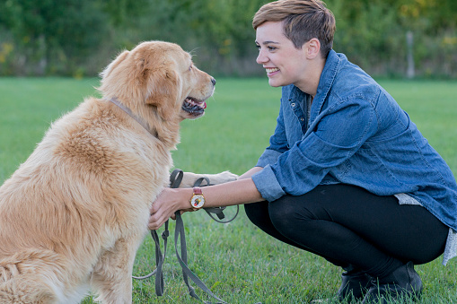 A Caucasian woman is outdoors in a field with her golden retriever dog. She is teaching the dog obedience. The dog has a leash on, and the girl is kneeling to smile at the dog.