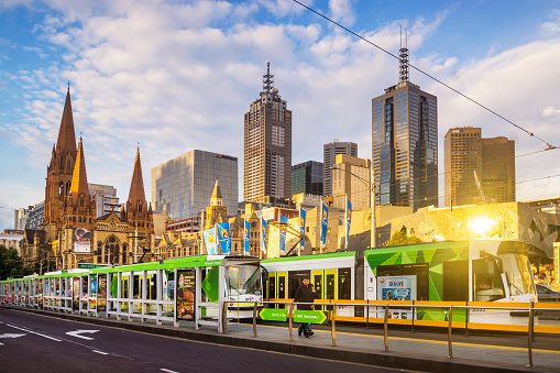 Melbourne, Australia - January 30, 2016: Trams and commuters at a tram stop on St Kilda Road, with buildings in the Melbourne CBD behind them.