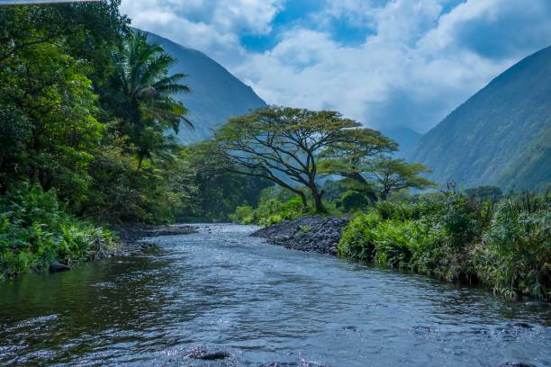 Tranquil scene of flowing stream surrounded by trees and mountains with dramatic sky above in Hawaii stock photo