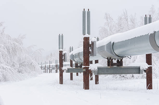 Trans Alaska Pipeline in Snow in Alaska stock photo