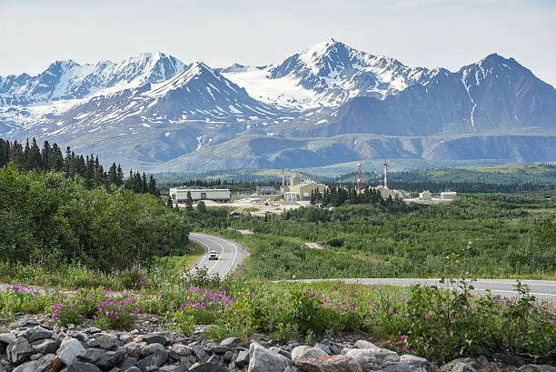 Trans Alaska Pipeline Pump Station in Summer Landscape stock photo