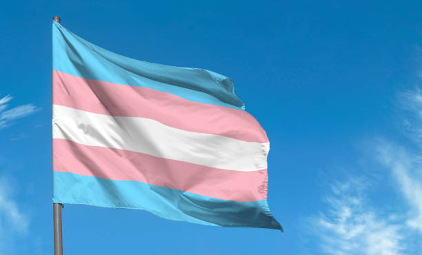 Transgender flag waving against blue sky, transgender pride flag in a street stock photo