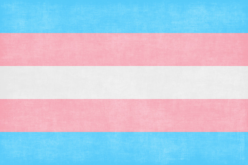 Flag trans 🏳️‍⚧️ Transgender