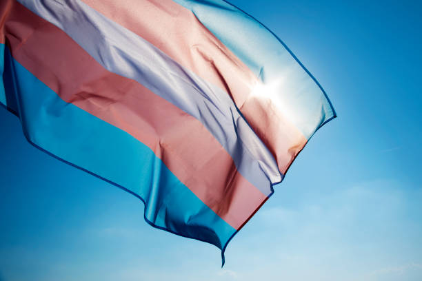 transgender pride flag waving on the blue sky stock photo
