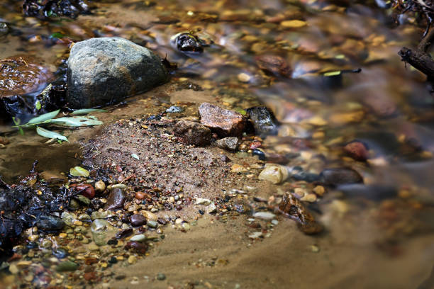 Photo of Transparent cold forest creek with stones leaves and sand under milky water shot on a long exposure with a nd filter