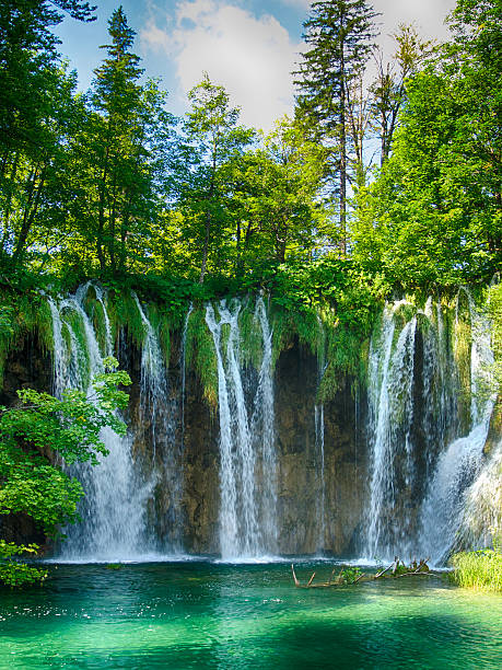 Transparent river in Plitvice, Croatia stock photo