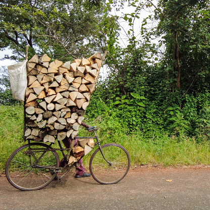 A person transporting firewood stacked on a bicycle being pushed down a mountain pass Zomba Malawi