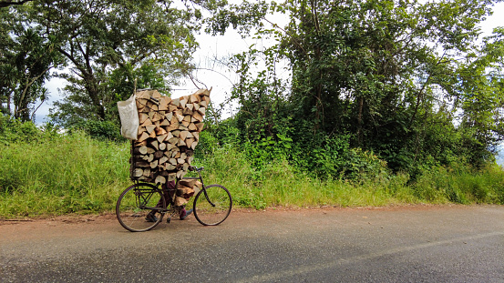 A person transporting firewood stacked on a bicycle being pushed down a mountain pass Zomba Malawi