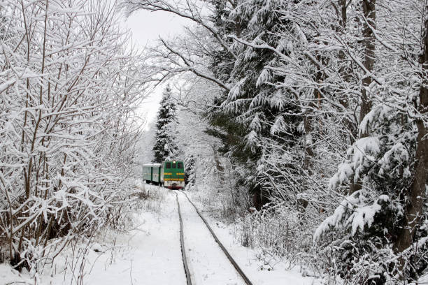 Travel concept. A train going among white winter forest like polar express, outdoor, wonderland stock photo