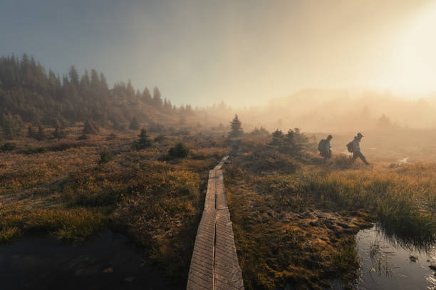 Travelers hiking on foggy field with golden sunlight in autumn wilderness stock photo