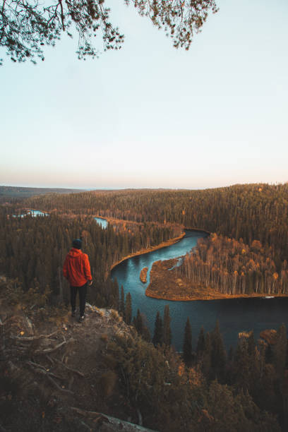 Traveller is looking at bend in the Kitkajoki River in Oulanka National Park in northern Finland during sunset. Autumn spruce forest with blue river forming a snake. Suomi nature stock photo