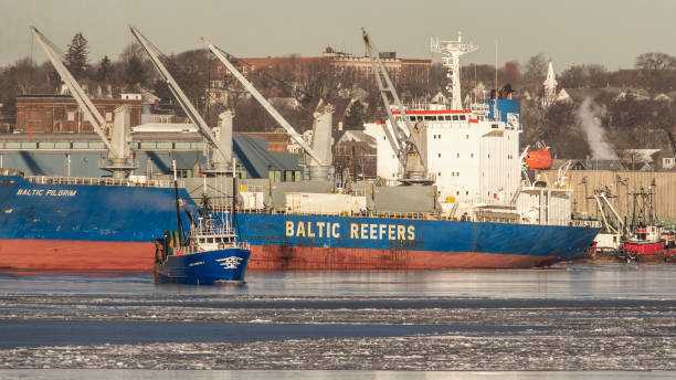 Trawler Luso American I with reefer Baltic Pilgrim in background stock photo