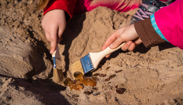 Treasure hunting. Kids playing archaeologists, unearthing the old piggy bank discovered hidden in the sand on a beach. Treasure hunting: piggy bank has hidden underground archaeology stock pictures, royalty-free photos & images