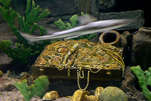 Medium Underwater Treasures Aquarium Wood 