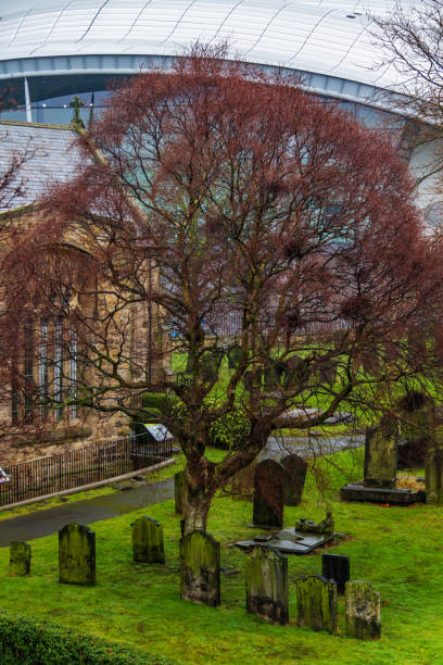boom en kerkhof buiten st. mary's heritage centre en toeristische informatie over gateshead kadekranen - newcastle united stockfoto's en -beelden