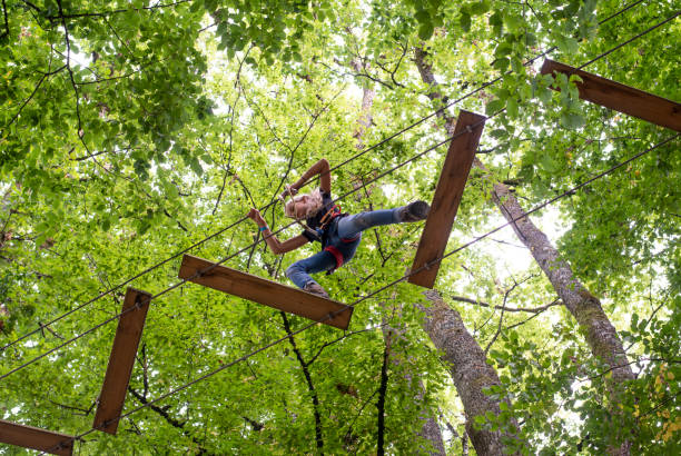 tree climbing adventure park stock photo