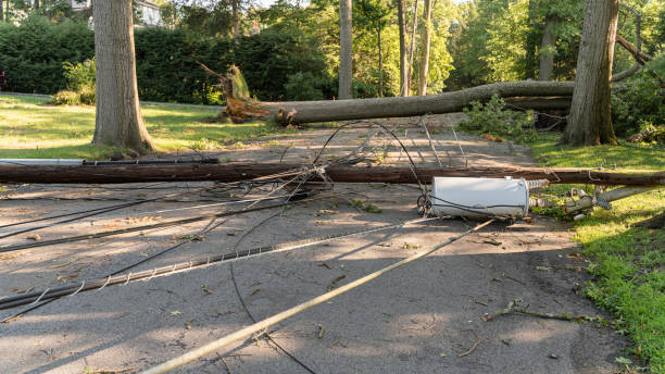 un arbre est tombé à cause du vent fort et il a barricadé la rue et détruit les lignes électriques et les câbles internet et tv dans une petite ville du new jersey après une tempête. - cable terre photos et images de collection
