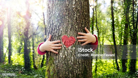 istock Tree Hugging - Love Nature - Child Hug The Trunk With Red Heart Shape 1311991091