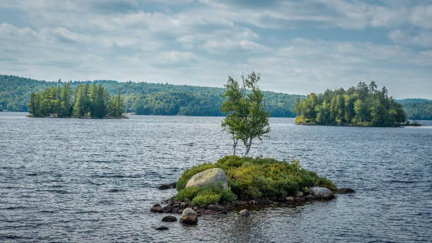 Tree isolated on a small island at Tupper Lake, the Adirondacks, New York Landscape photo of the Adirondacks tupper lake stock pictures, royalty-free photos & images