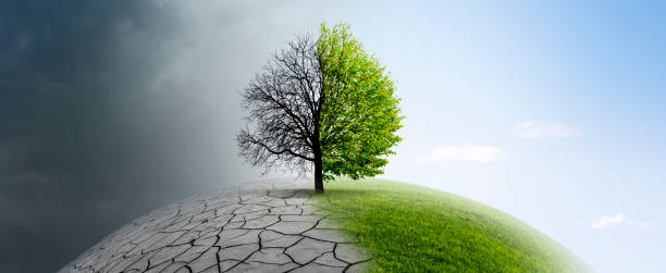 Tree on a globe in climate change stock photo