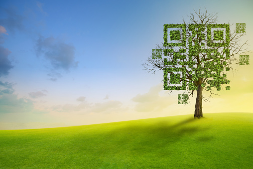 Tree shaped like qrcore with the green mountain and blue sky background. Technology ,Business and Nature Concept.
