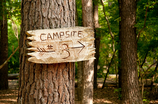 Tree trunk with wood sign and arrow to campsite 3