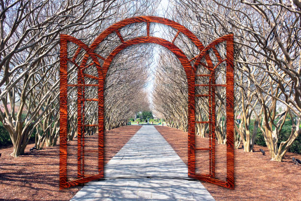 Tree Tunnel Gateway through crape mytle trees ,will make great background. arboretum stock pictures, royalty-free photos & images