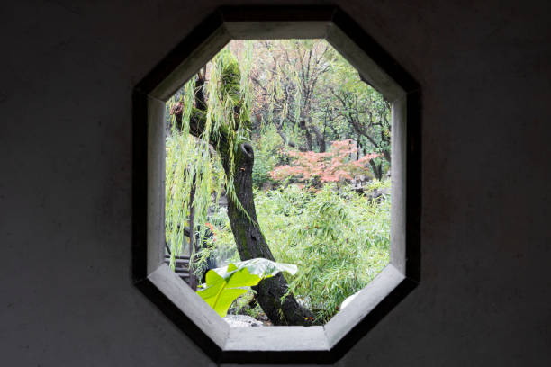 Trees outside the old-fashioned window in Suzhou gardens in autumn stock photo